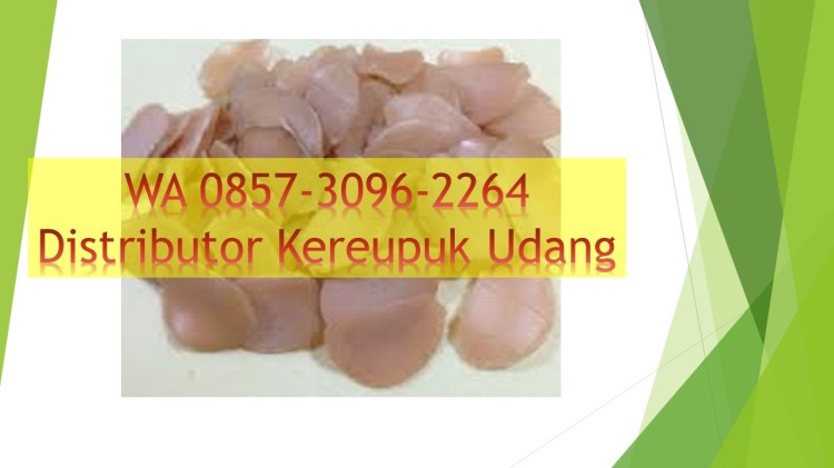 Pabrik kerupuk udang mentah di Mataram, Pabrik kerupuk udang mentah harga di Mataram, Pabrik harga kerupuk udang mentah 2018 di Mataram, Pabrik harga kerupuk udang mentah per kilo di Mataram, Pabrik harga kerupuk udang mentah 1 bal di Mataram, harga kerupuk udang mentah 1 bal, , harga kerupuk udang mentah 2018, , harga kerupuk udang mentah per kg 2019, , harga kerupuk udang mentah per kg 2018, harga kerupuk udang 2019, , kerupuk udang mentah besar, , gambar kerupuk udang mentah, , harga kerupuk udang per kg 2019